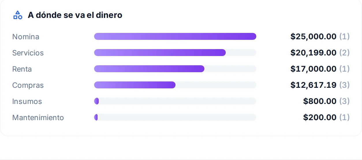 «A dónde se va el dinero»: el gasto del periodo por categoría, de nómina a mantenimiento
